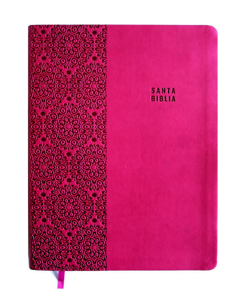 Libro Biblia letra grande de Reina Valera