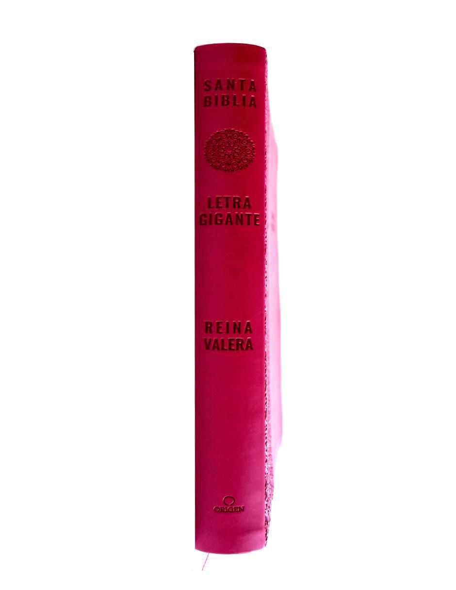 Libro Biblia letra grande de Reina Valera