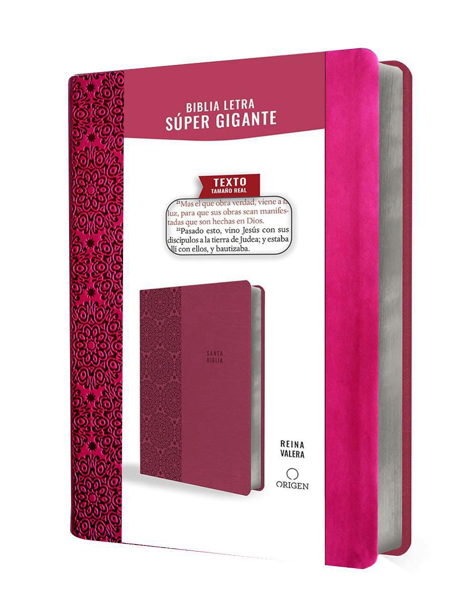 Libro Biblia letra grande de Reina Valera
