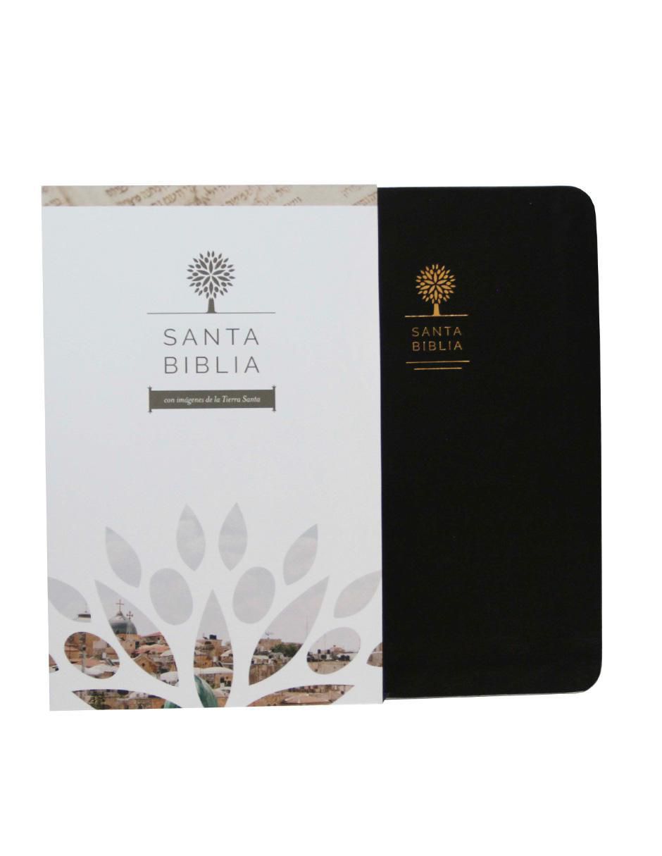Libro Biblia letra grande de Reina Valera Libro Biblia letra grande de Reina Valera