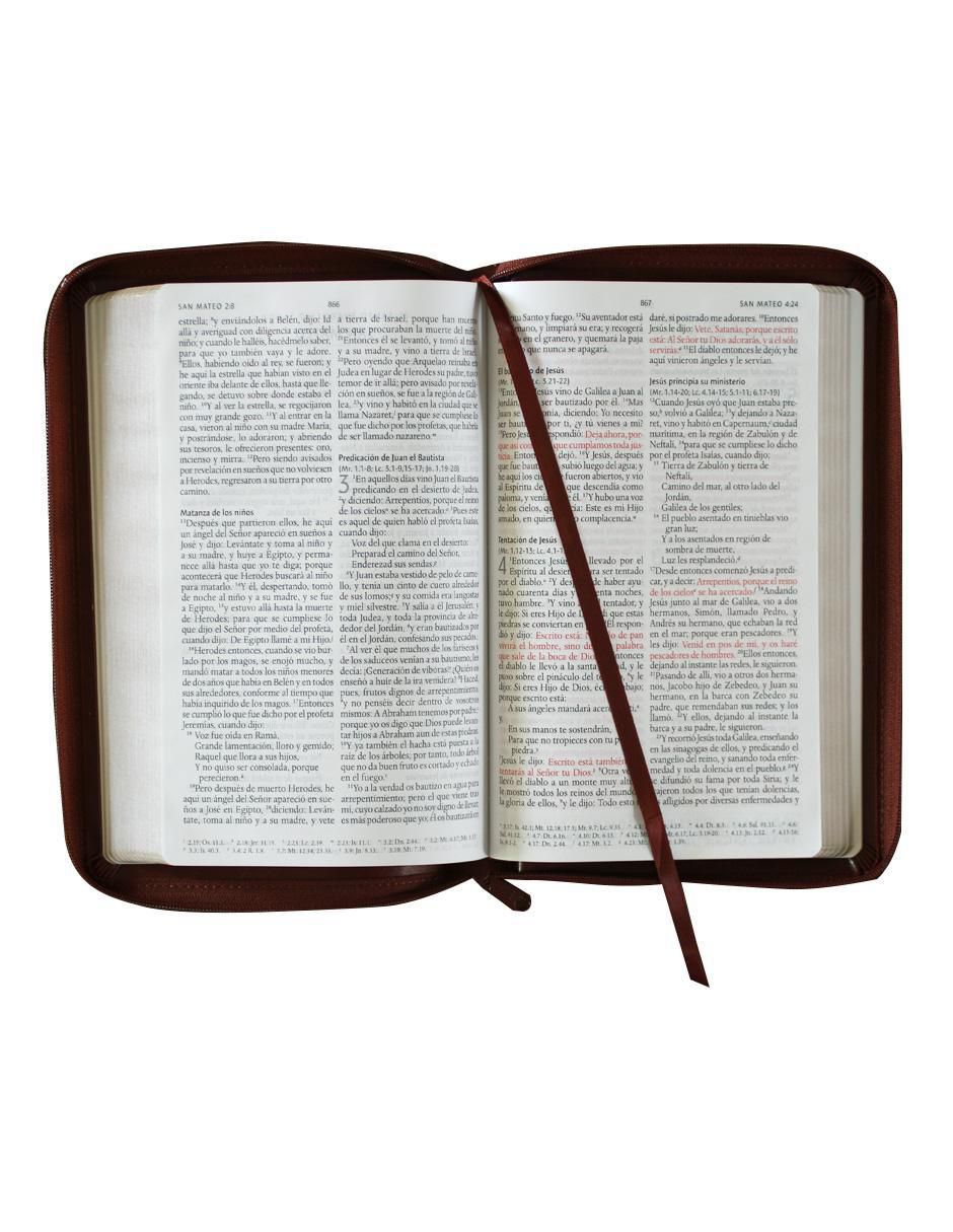 Libro Biblia Manual Reina Valera color canela