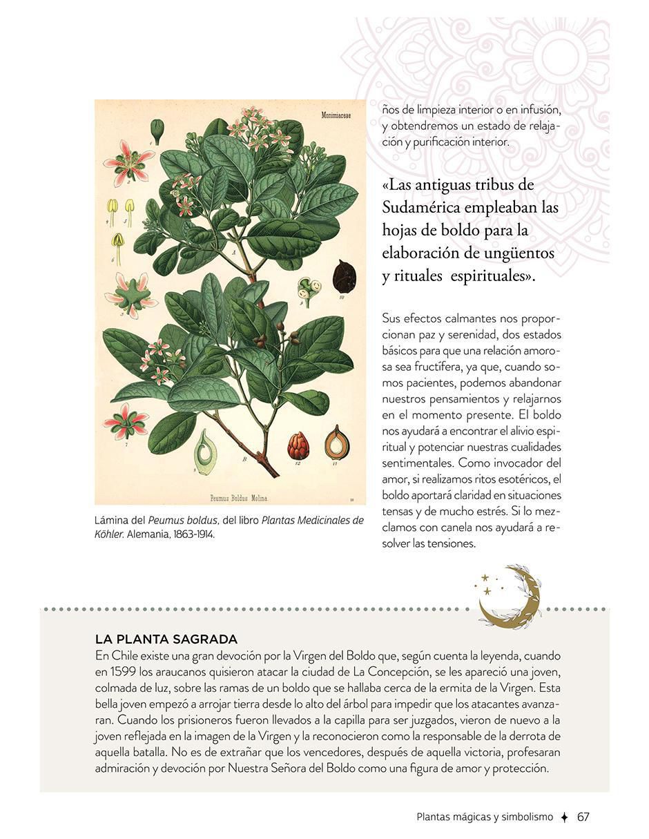 Libro Plantas Con Poderes Mágicos de Gemma Mateos 5