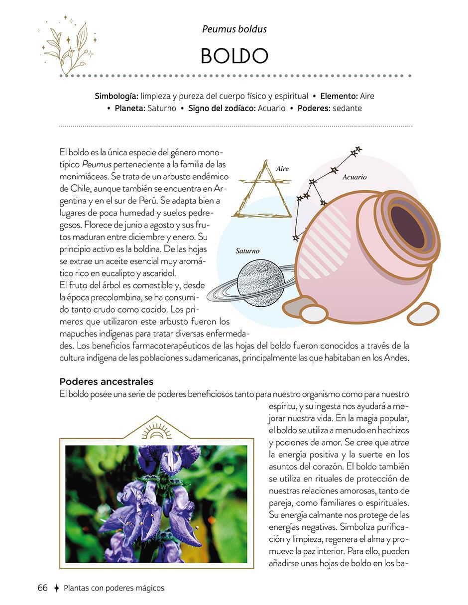 Libro Plantas Con Poderes Mágicos de Gemma Mateos