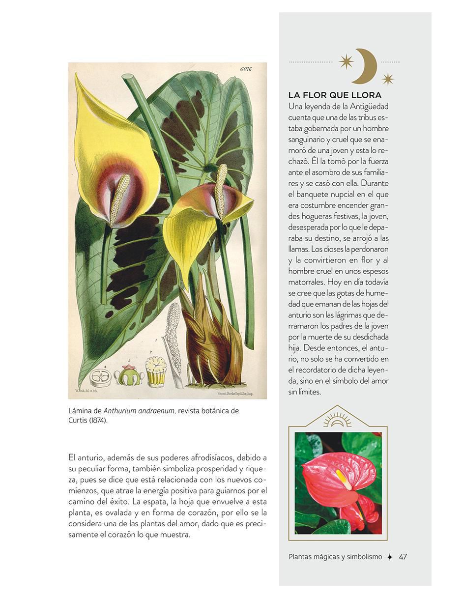 Libro Plantas Con Poderes Mágicos de Gemma Mateos