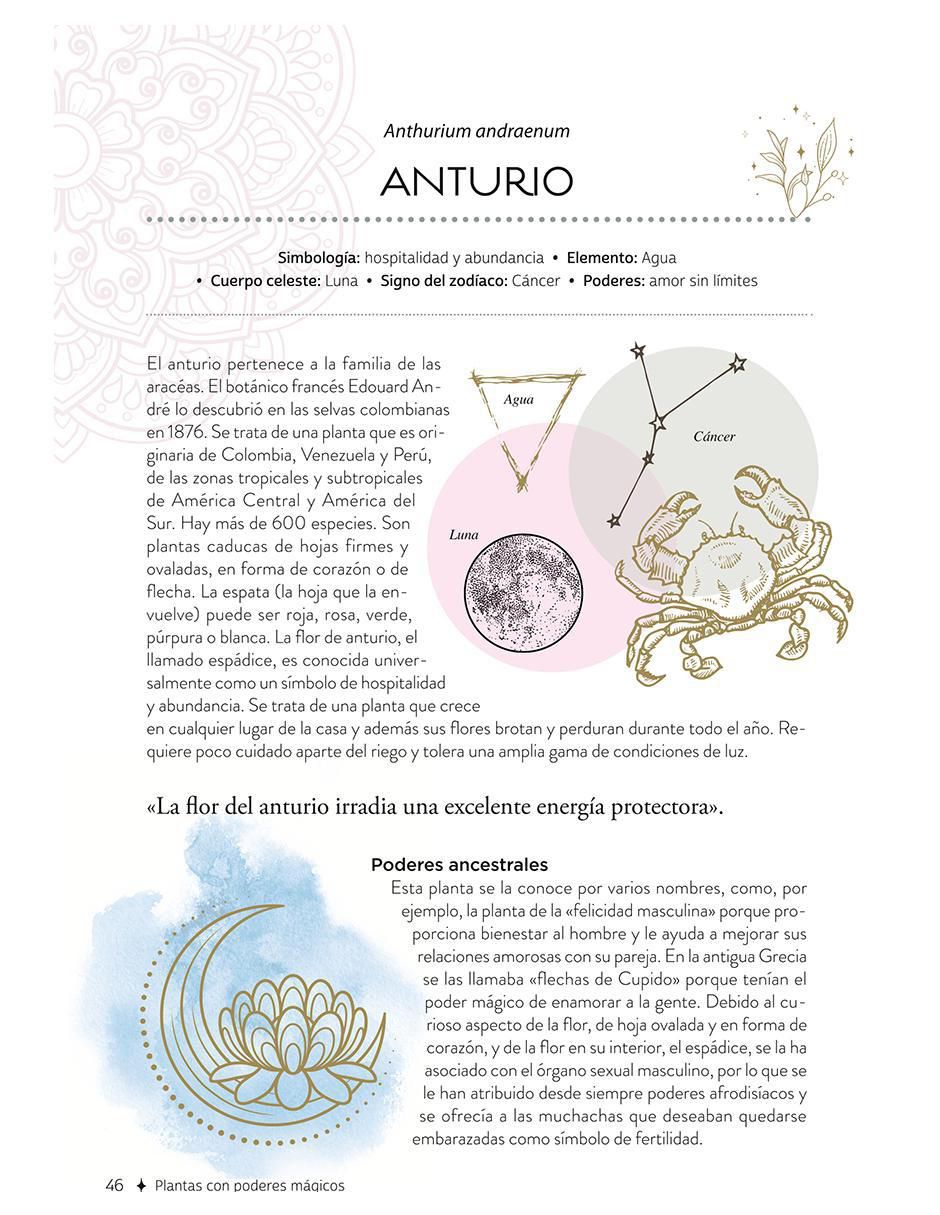 Libro Plantas Con Poderes Mágicos de Gemma Mateos 9