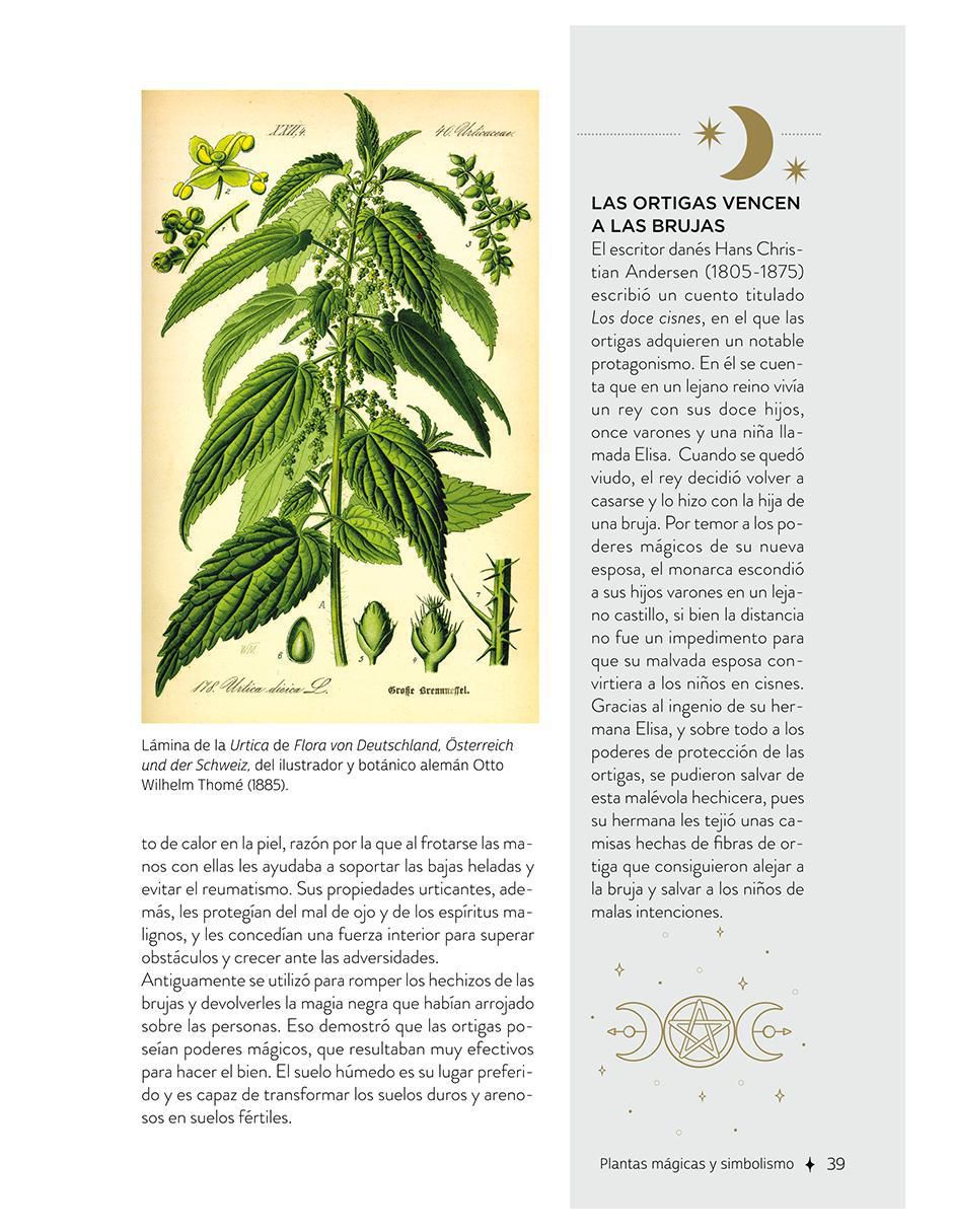 Libro Plantas Con Poderes Mágicos de Gemma Mateos