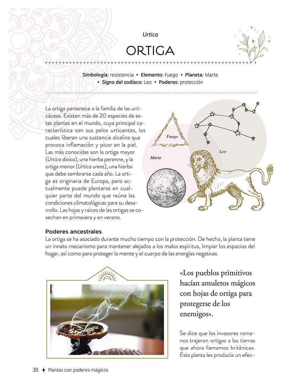 Libro Plantas Con Poderes Mágicos de Gemma Mateos 6