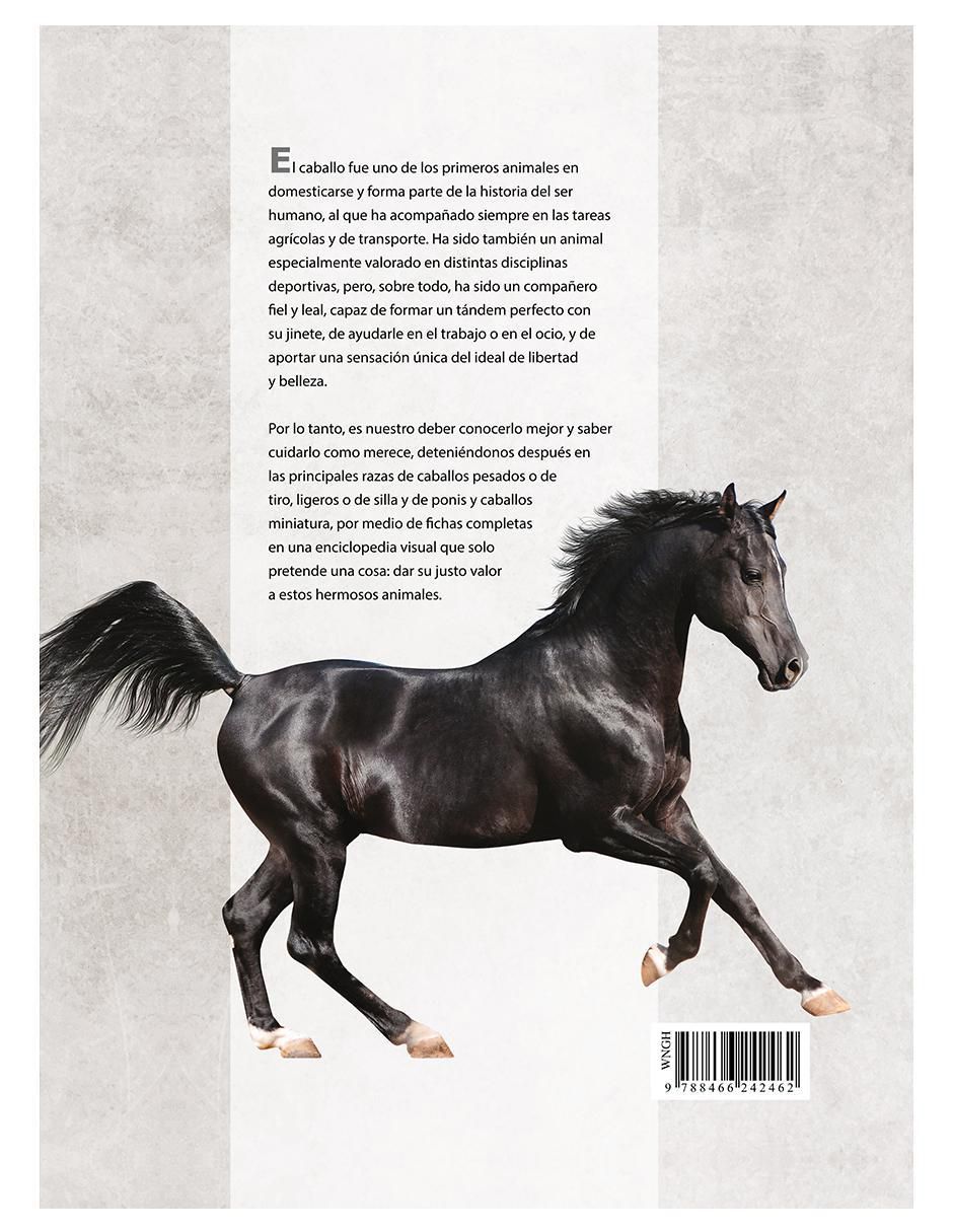 Libro Enciclopedia Ilustrada del Caballo de Marín
