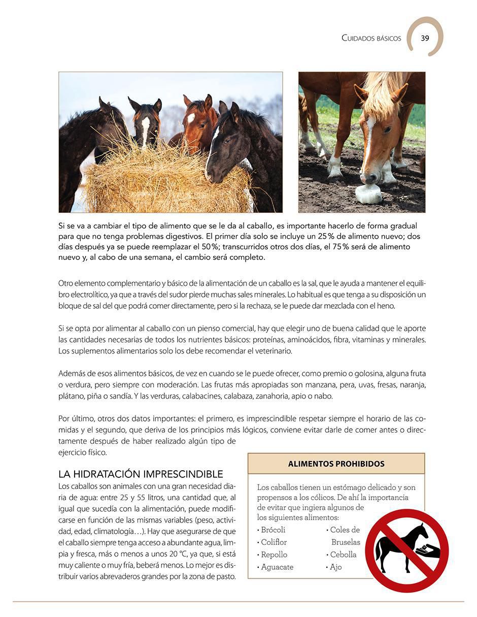 Libro Enciclopedia Ilustrada del Caballo de Carmen Martul