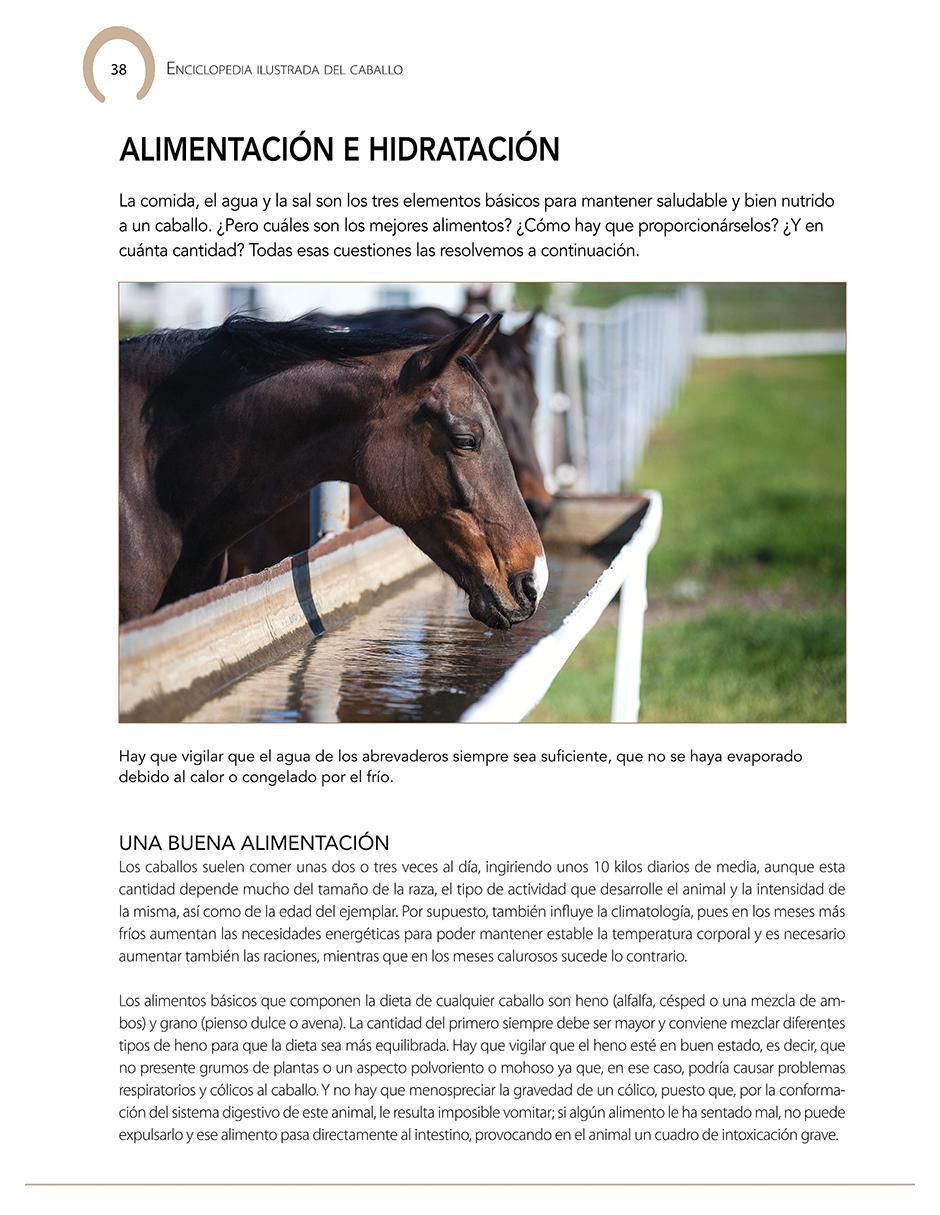 Libro Enciclopedia Ilustrada del Caballo de Carmen Martul