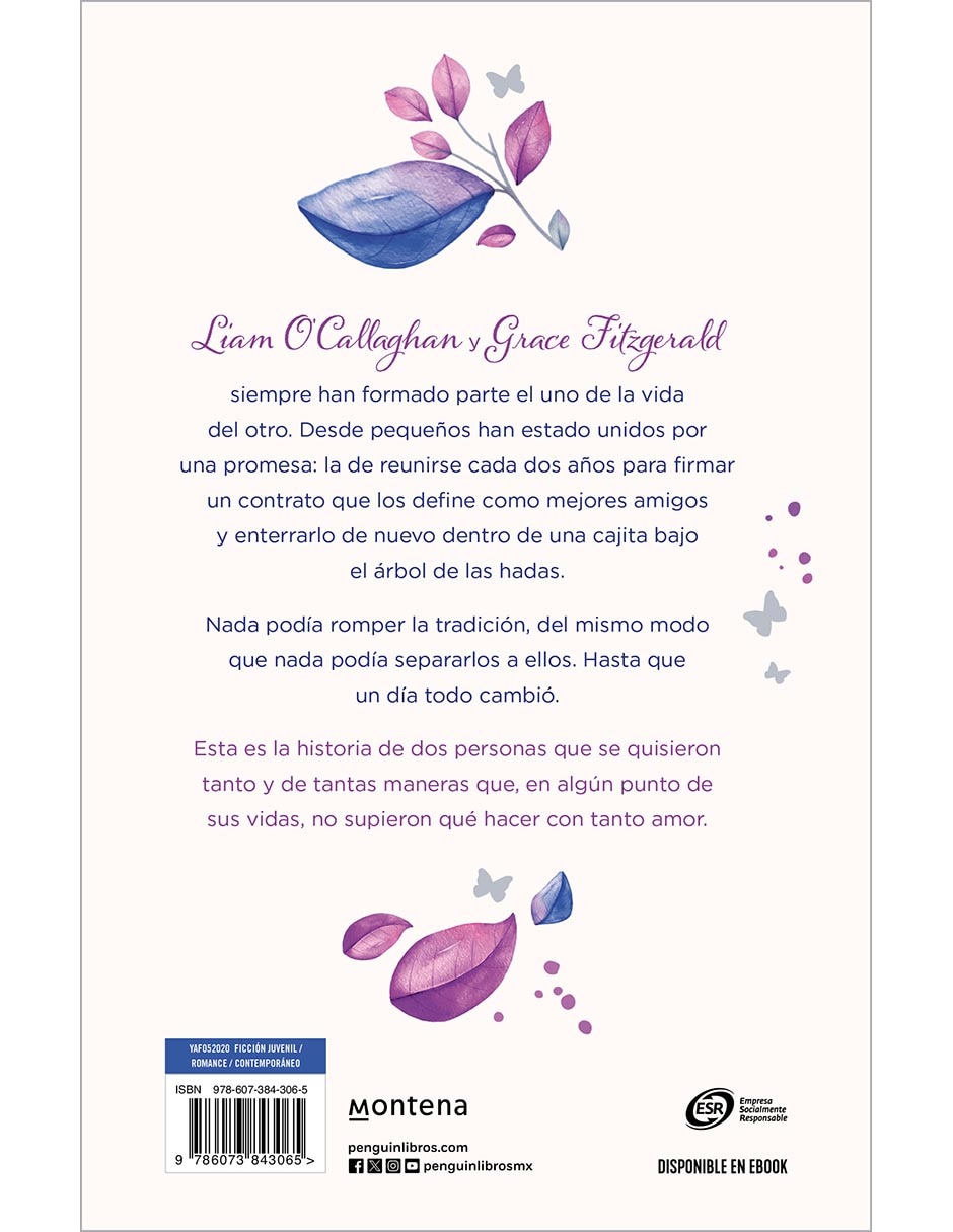 Libro El tiempo que tuvimos 2