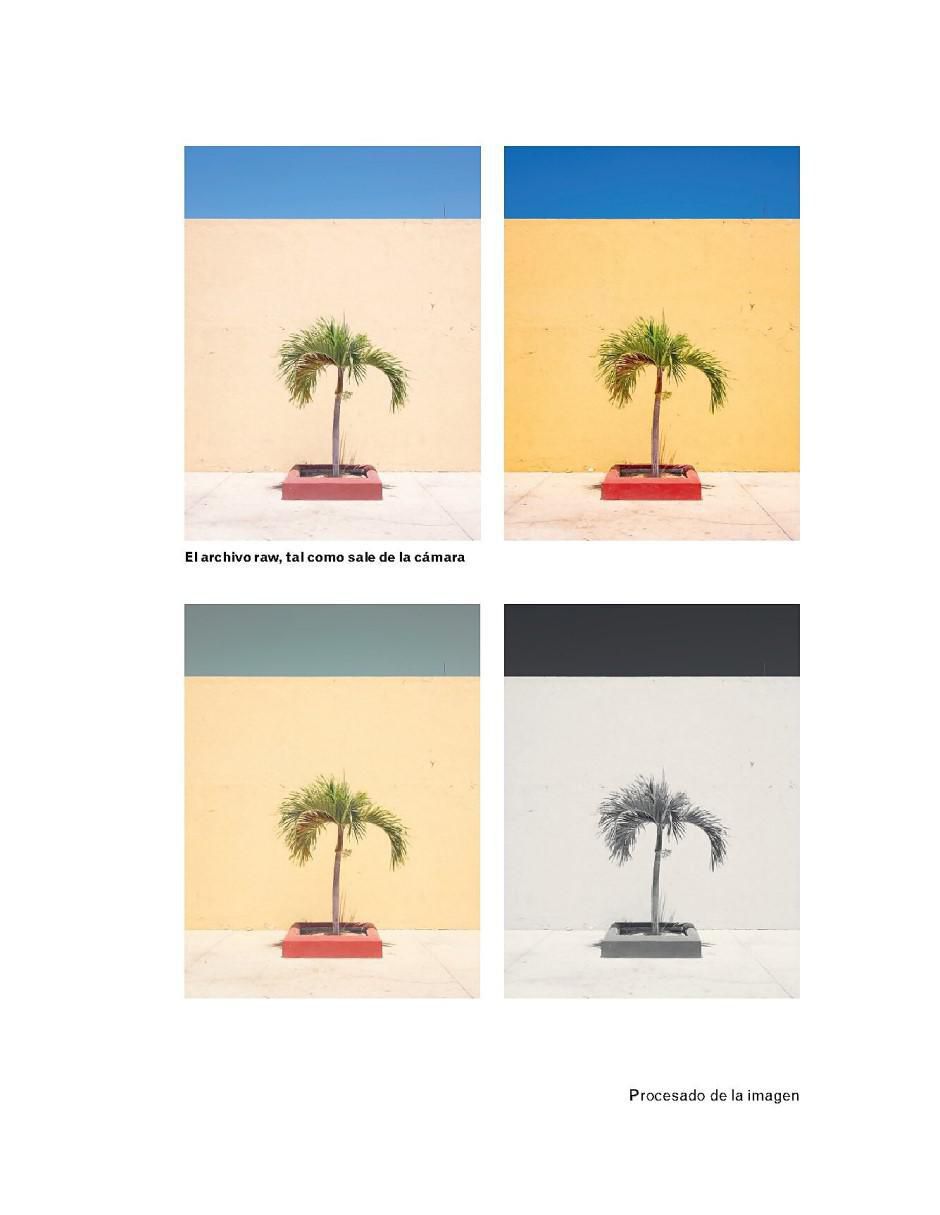 Libro Cuando Haya Leído Este Libro Podrá Tomar Buenas Fotografías de Benedict Brain 3