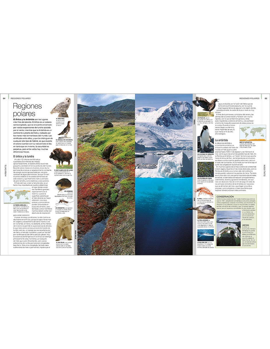 Libro ANIMAL
de DK