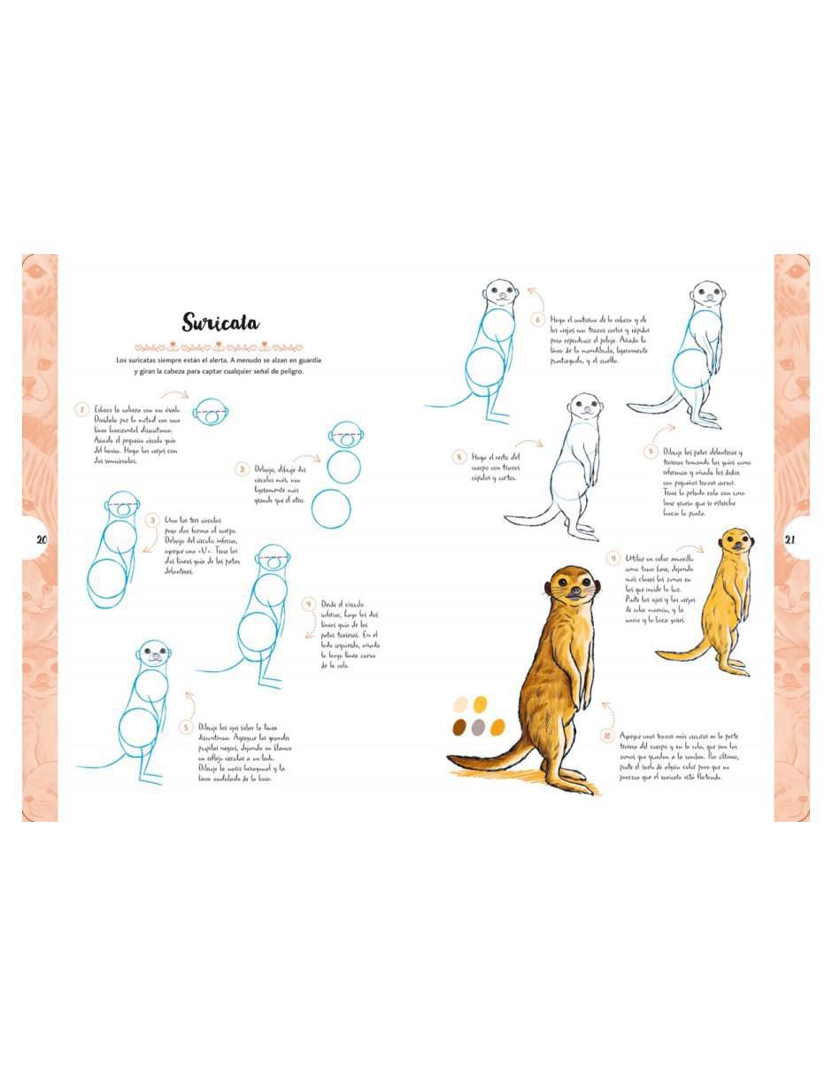 Libro Dibujar en 10 pasos: Animales adorables de 2