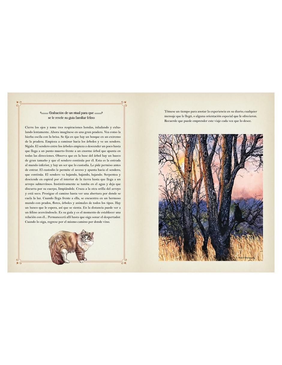 Libro La Magia De Los Gatos de Rieka Moonsong 2