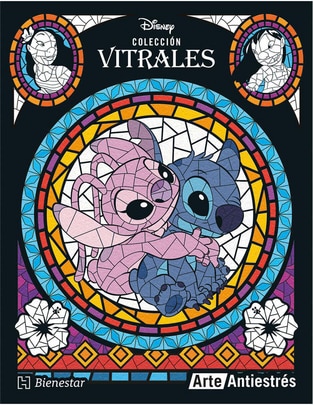 Libro Vitrales Stich de Graciela Iniestra 1