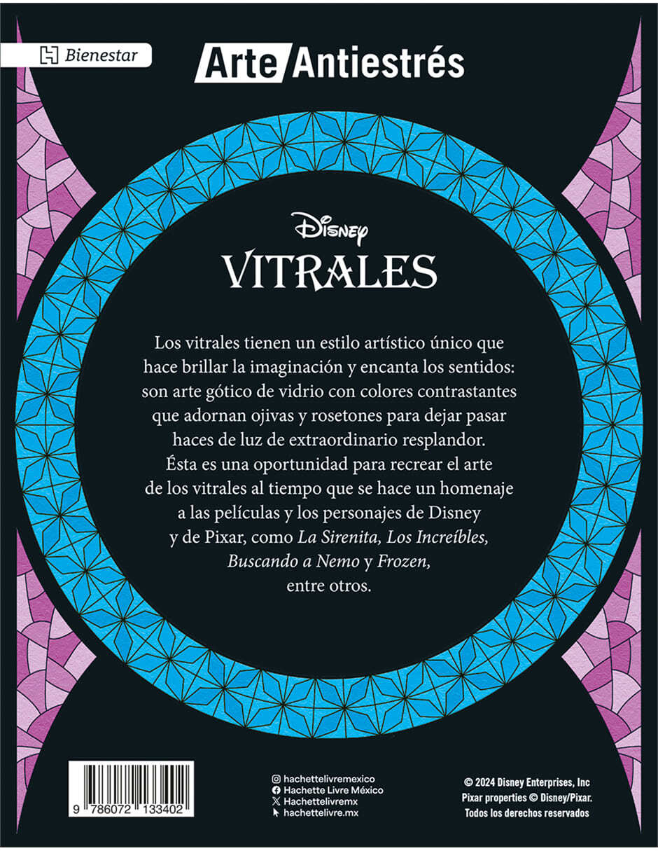 Libro Vitrales Stich de Graciela Iniestra 3