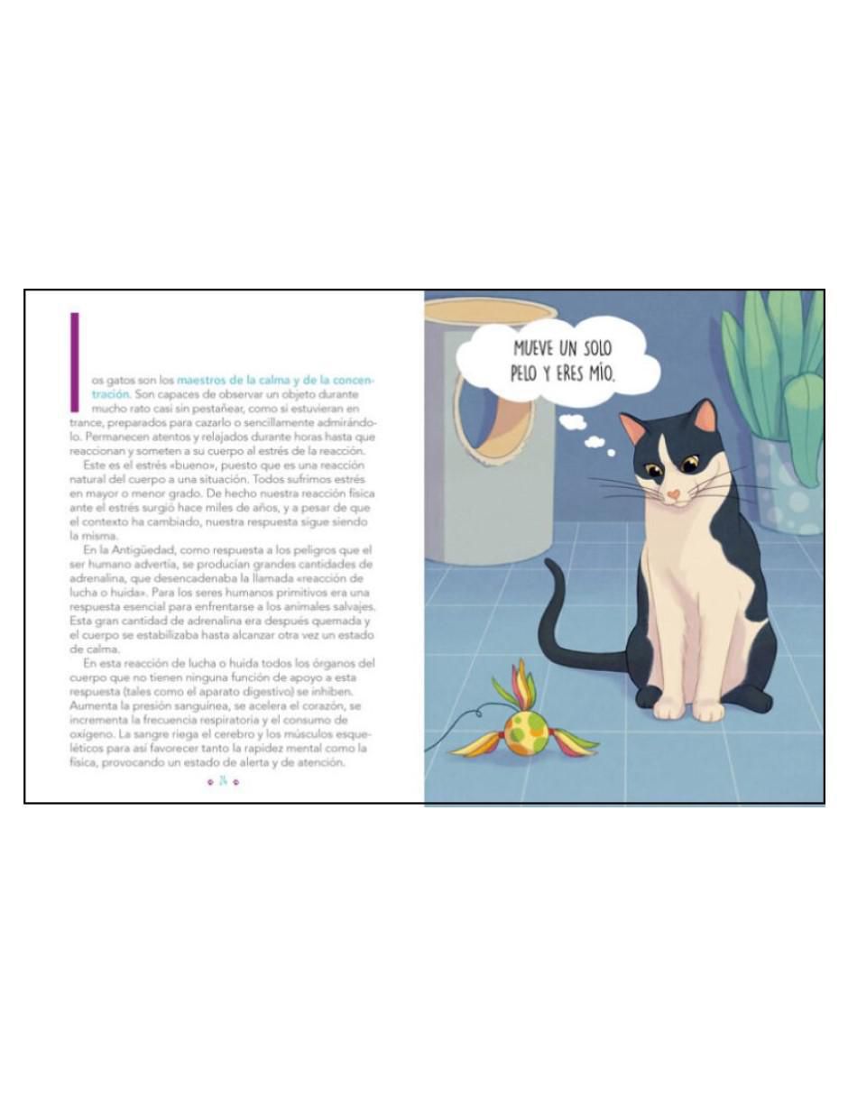 Libro El Arte de Vivir Como Un Gato: Mejora tu vida observando a los felinos de María Montolío / Shia Green