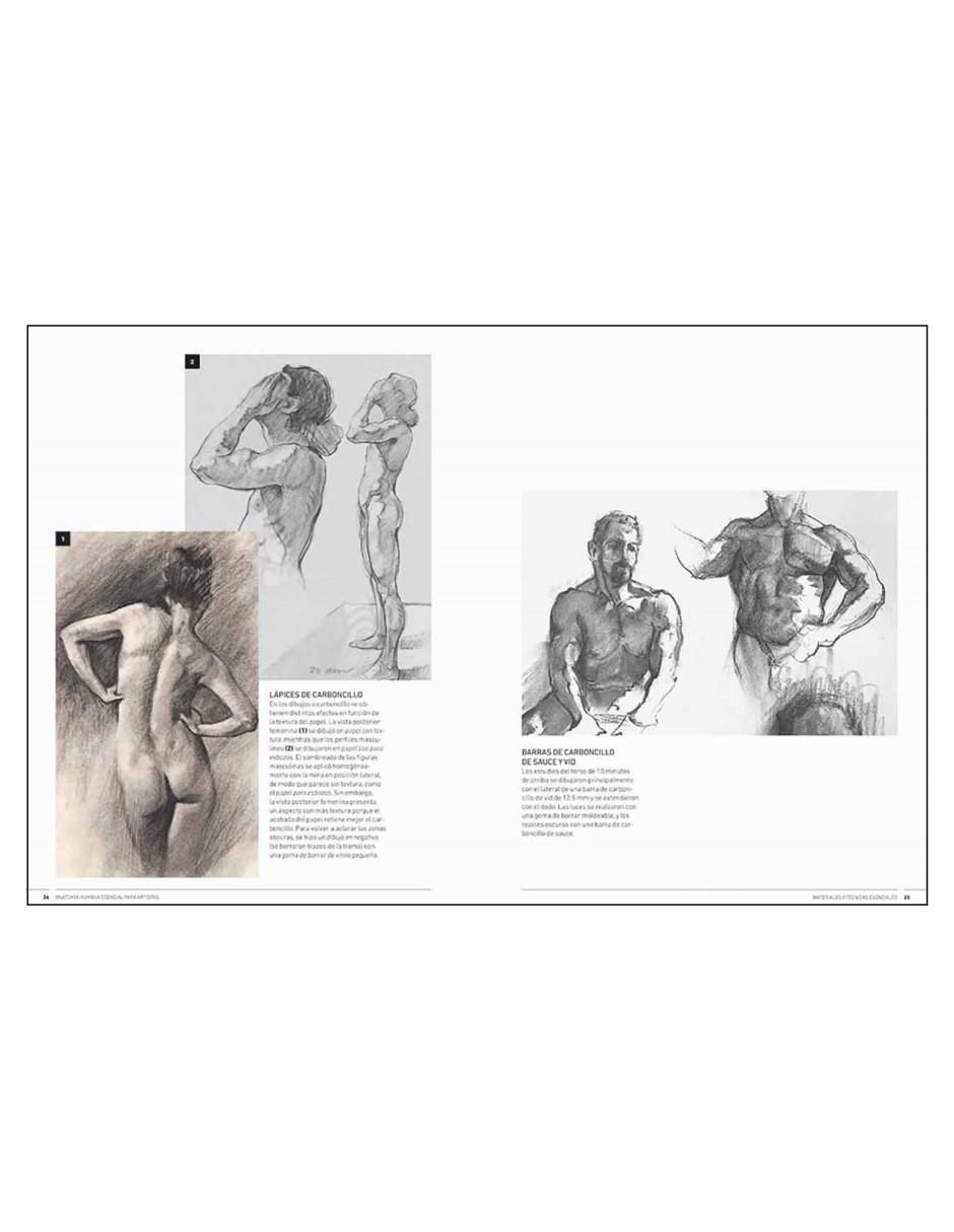 Libro Anatomía humana esencial para artistas de Ken Goldman