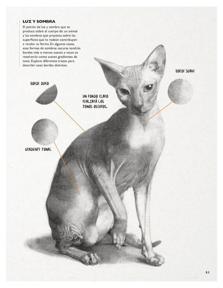 Libro Cuando haya leído este libro ¡sabrá dibujar animales! de Jake Spicer/Lancelot Richardson 3