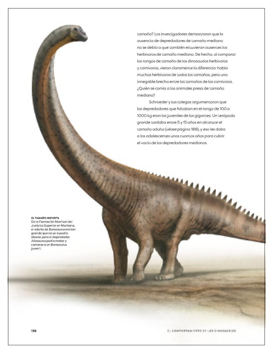 Libro El Comportamiento De Los Dinosaurios de Michael J. Benton Y Bob Nicholls