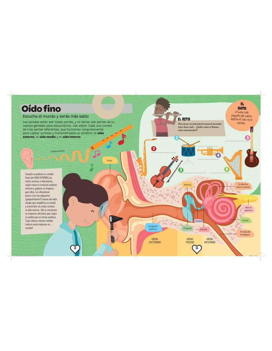 Libro Explora El Cuerpo Humano de Alberto Jiménez García