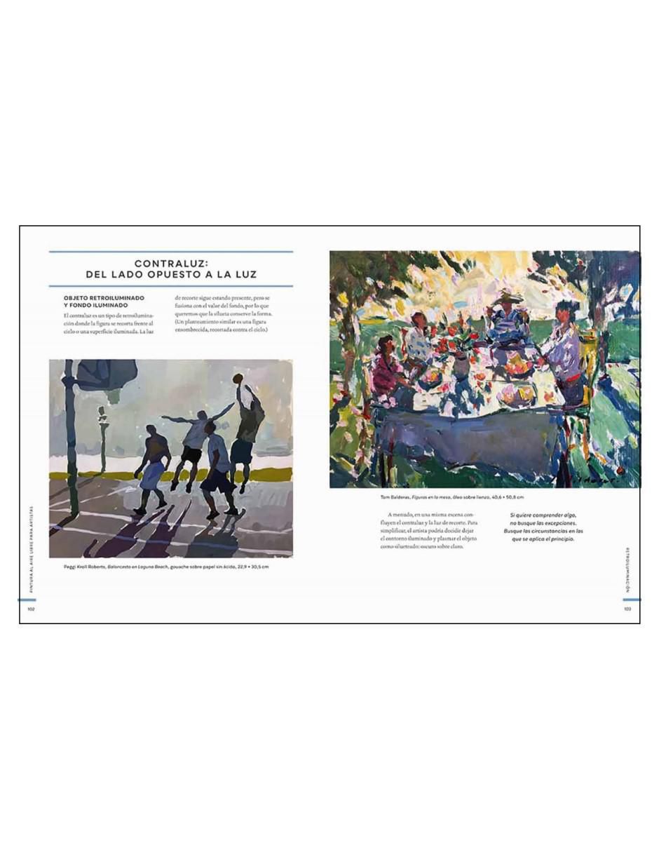 Libro Pintura Al Aire Libre Para Artistas de Aimee Erickson