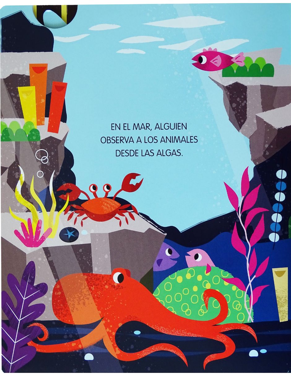Libro Descubre sonidos divertidos ¿de quién es esta graciosa cola? de Emeline Barrea (Ilustradora) 5