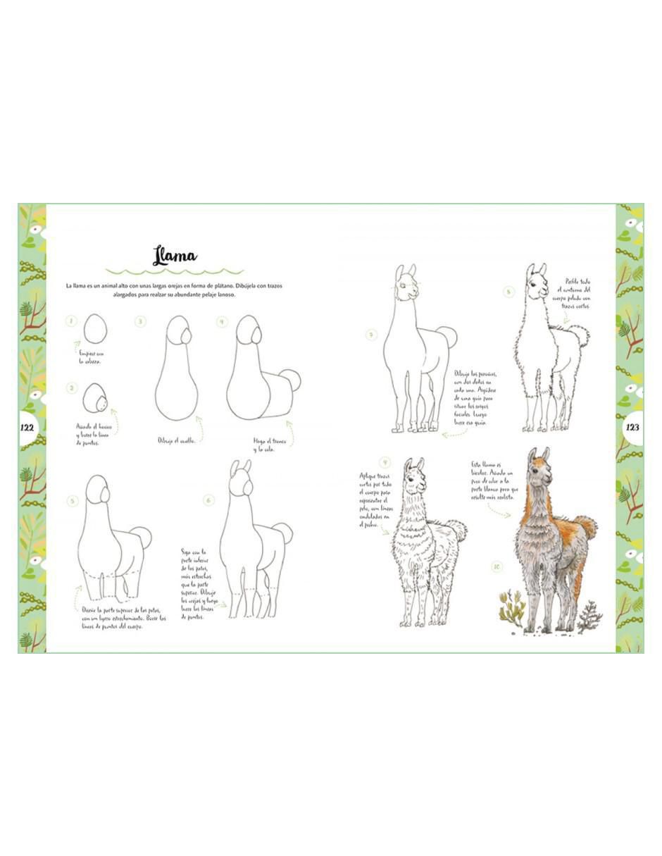 Libro Dibujar Animales en 10 Pasos de 3