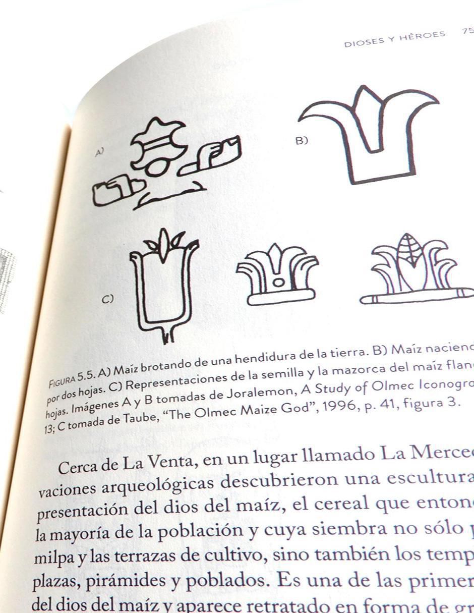 Libro Dioses y héroes del México antiguo de Taurus 2