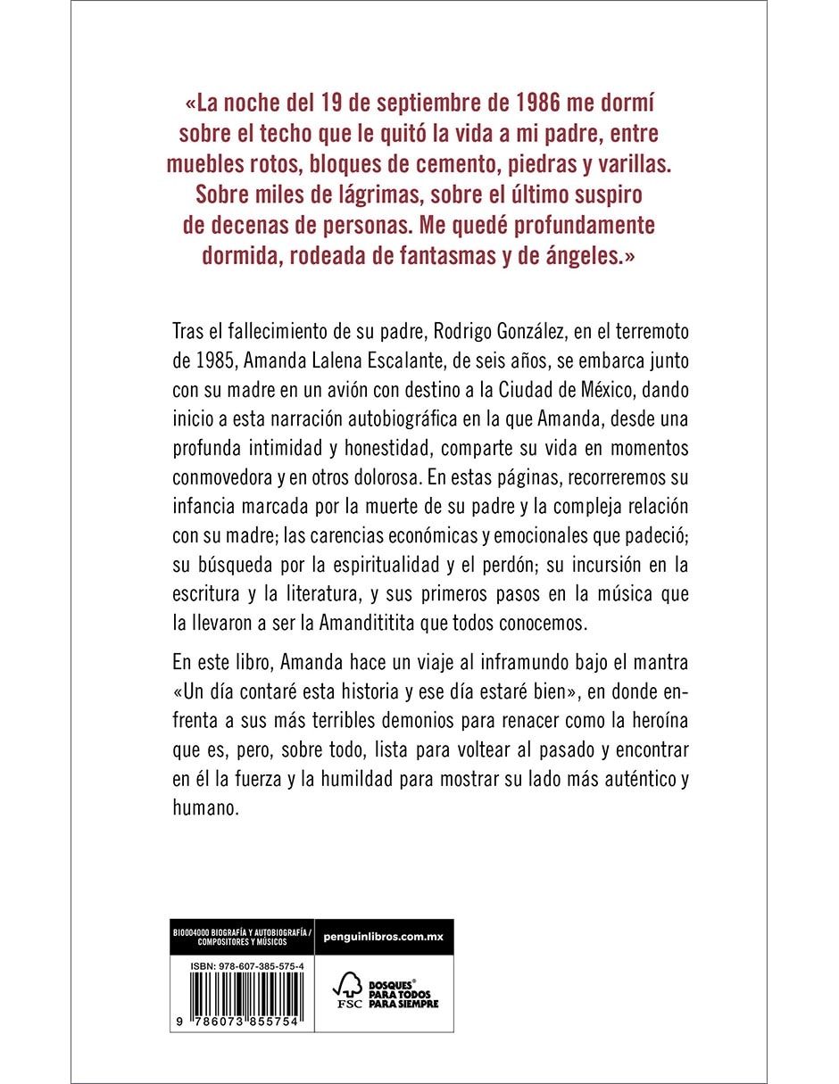 Libro Un Día Contare Esta Historia de Amandititita