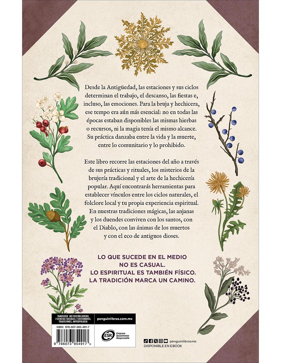 Libro Almanaque De La Bruja Tradicional de Solitude Of Alanna 3