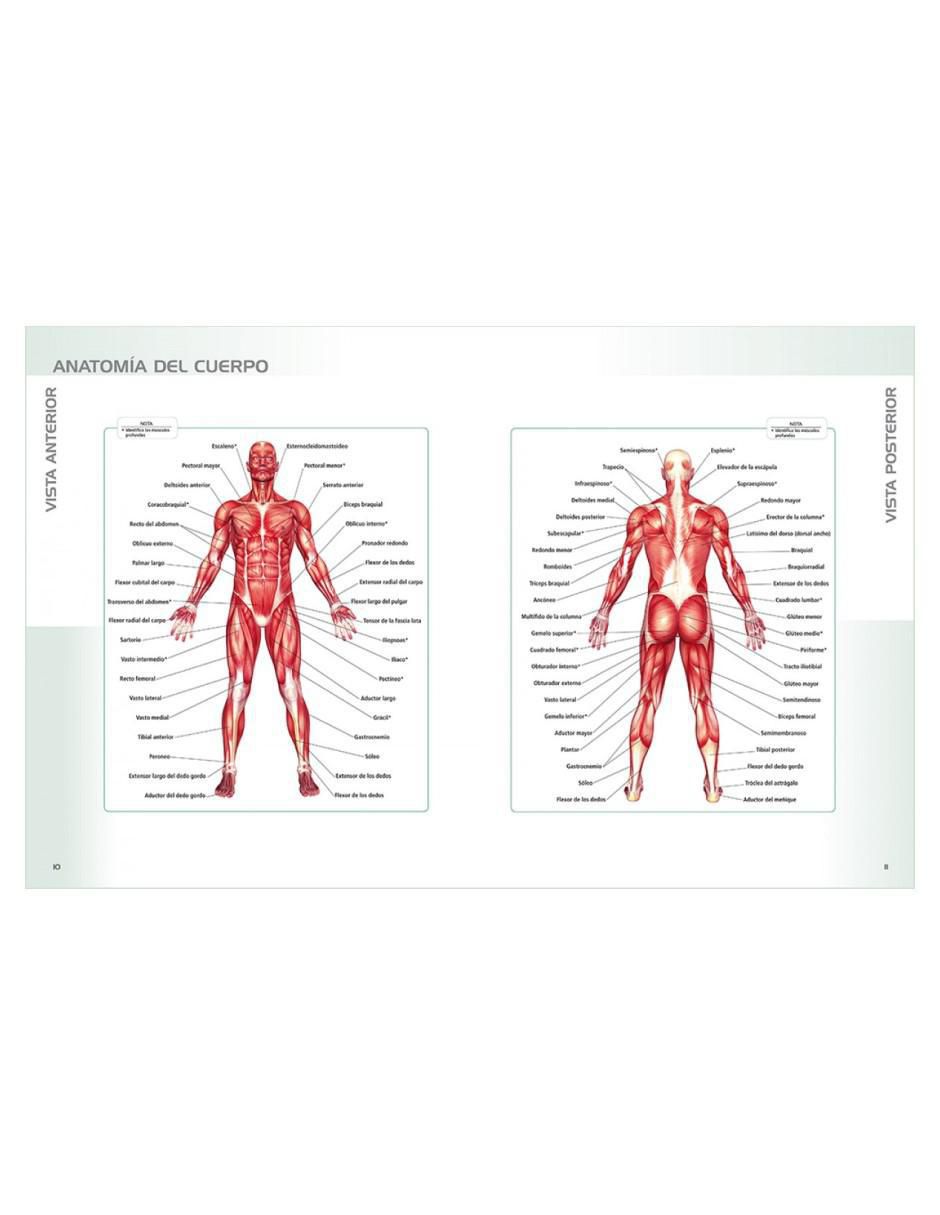 Libro Anatomia De Ejercicios Sin Pesas de Hollis Lance Liebman 4
