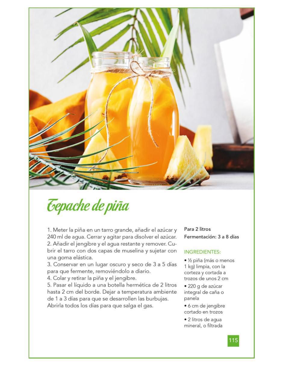 Libro Guia Facil De Fermentacion de Torres, Laura 2