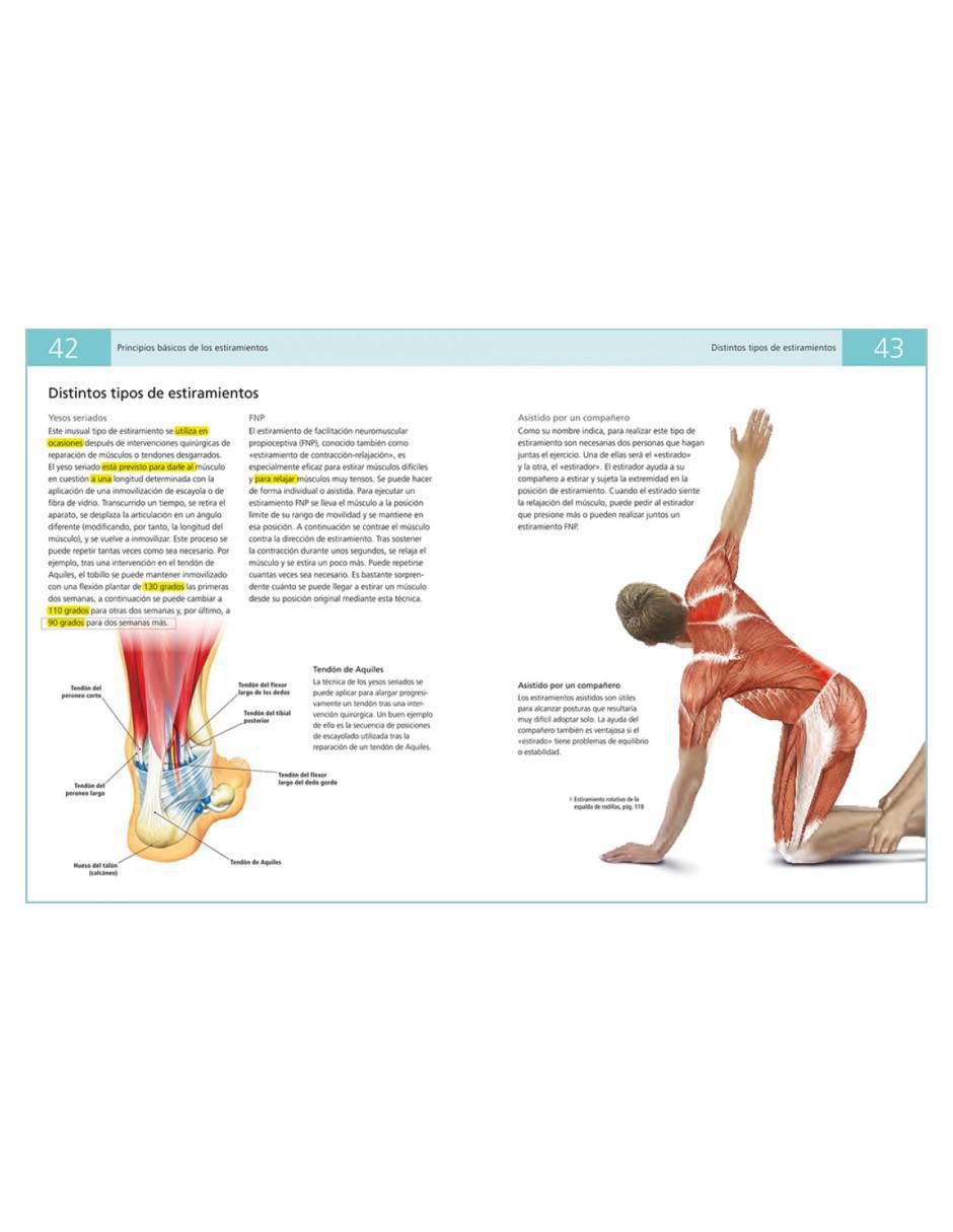 Libro Anatomía de los estiramientos de 2