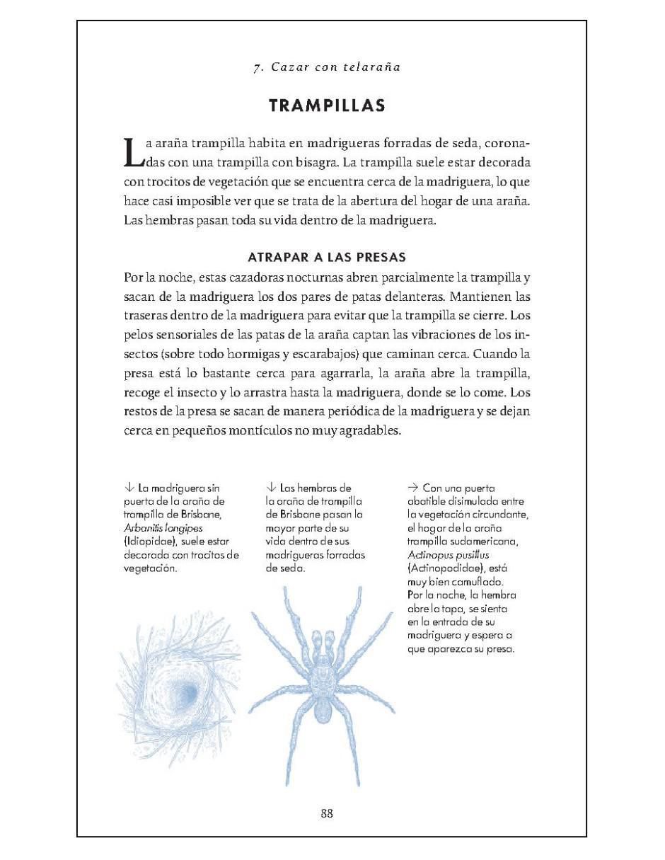 Pequeño libro de la naturaleza. Arañas de Simon D. Pollard