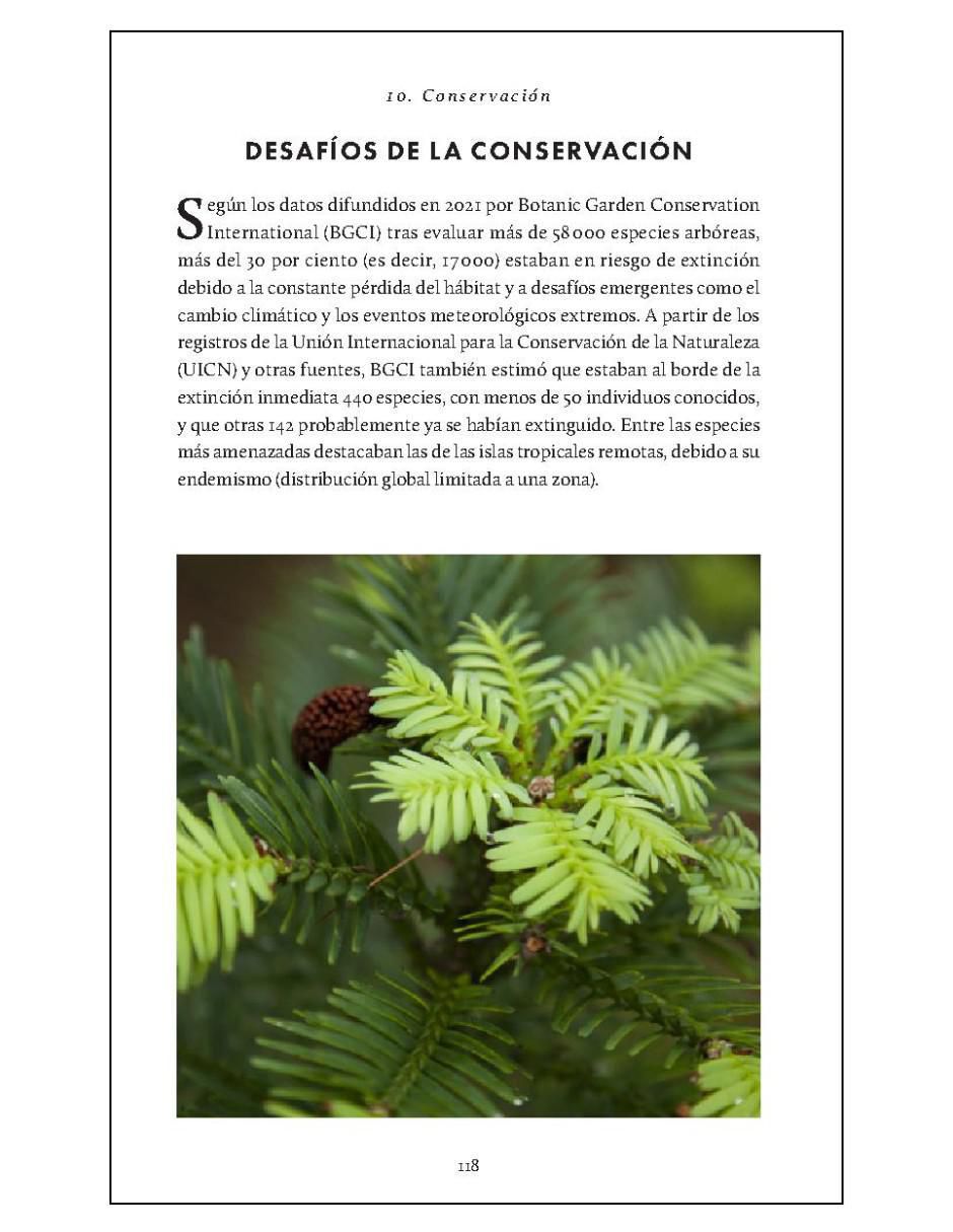 Libro Pequeño libro de la naturaleza. Árboles de Herman Shugart/Peter White 4
