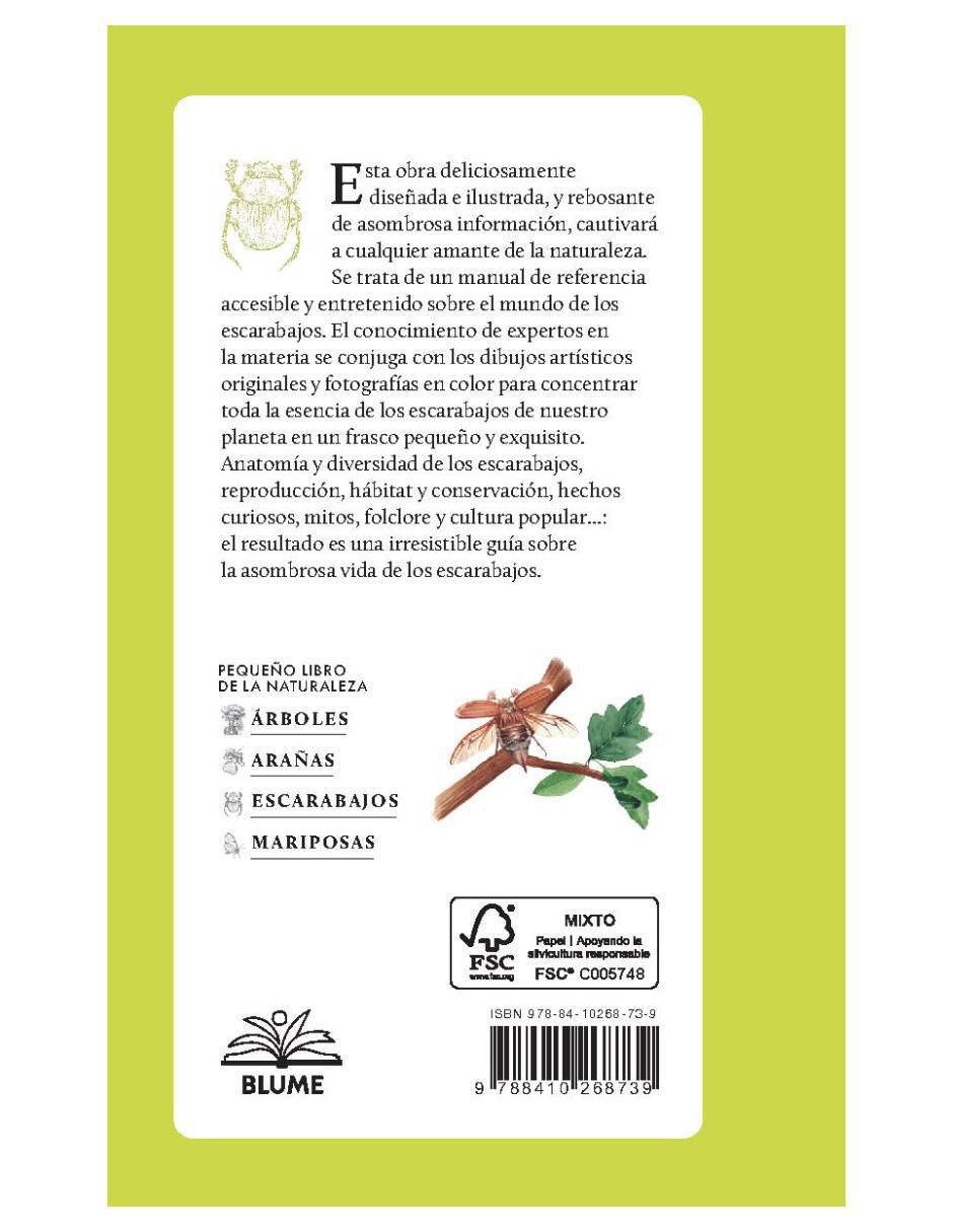 Pequeño libro de la naturaleza. Escarabajos de Arthur V. Evans