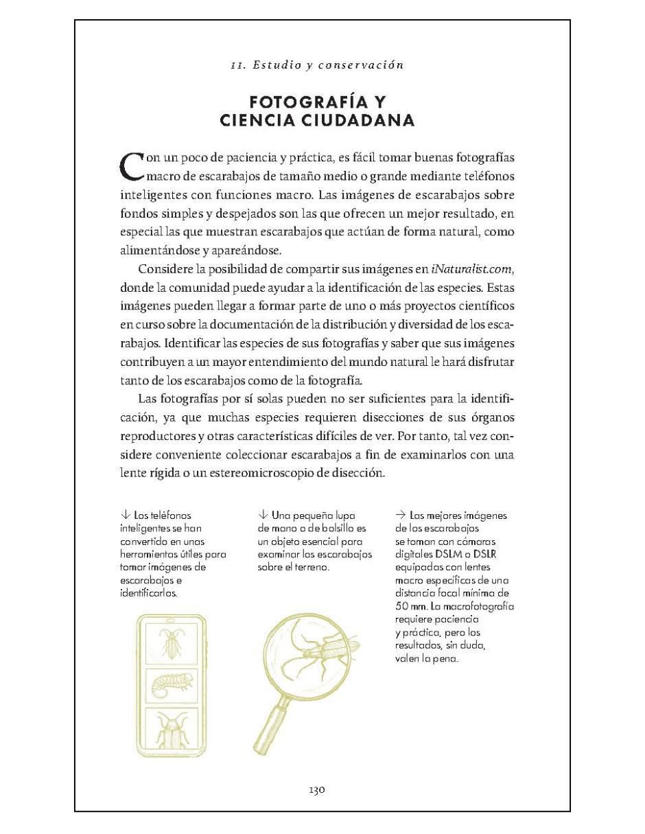 Pequeño libro de la naturaleza. Escarabajos de Arthur V. Evans