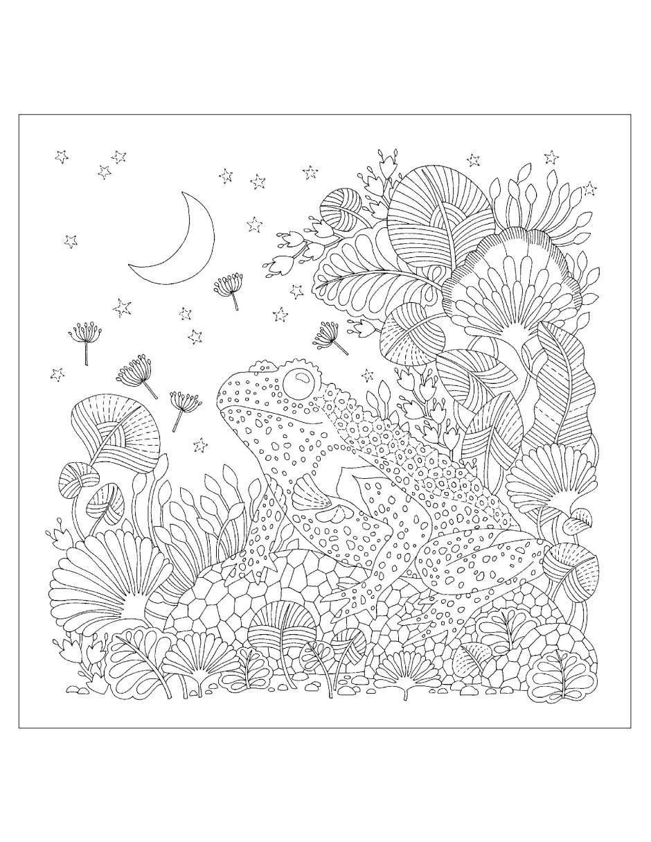 Libro Un planeta precioso. Una aventura para colorear de Millie Marotta