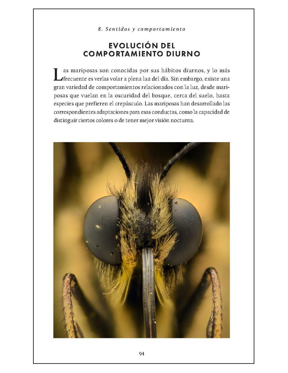 Libro Pequeño libro de la naturaleza. Mariposas de Andrei Sourakov/Alexandra A. Sourakov 2