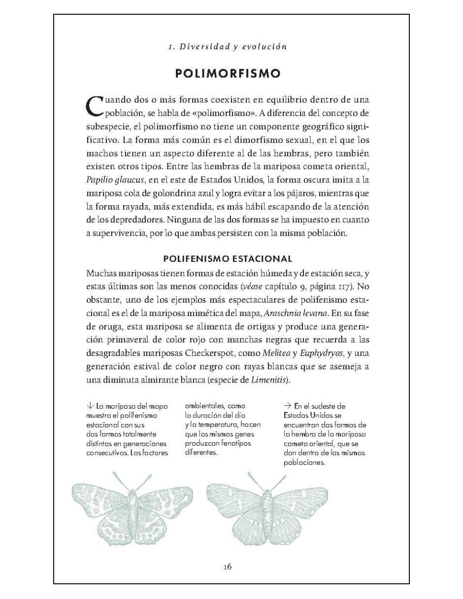 Libro Pequeño libro de la naturaleza. Mariposas de Andrei Sourakov/Alexandra A. Sourakov 5