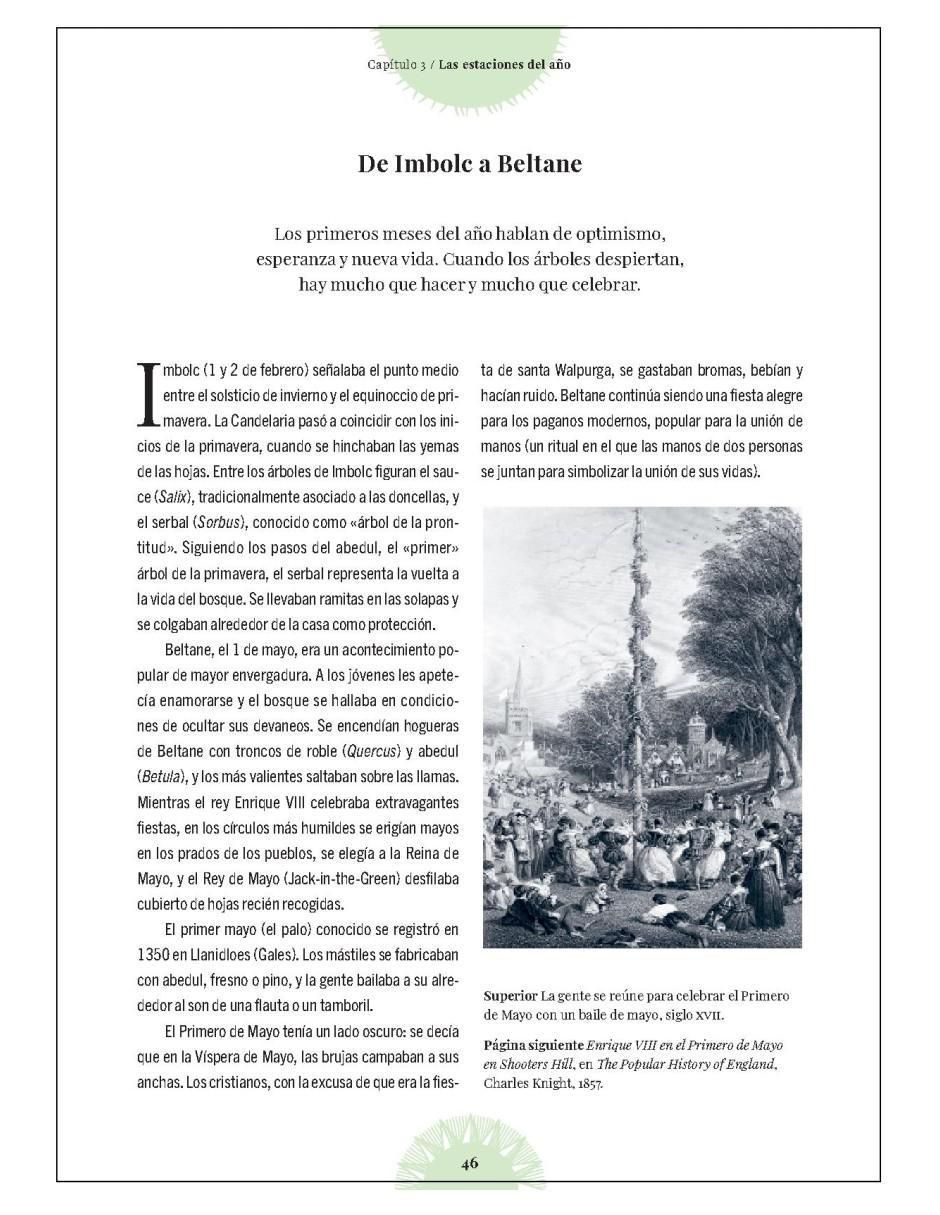 Libro El bosque de las brujas - Los árboles en la magia de Sandra Lawrence Libro El bosque de las brujas - Los árboles en la magia de Sandra Lawrence