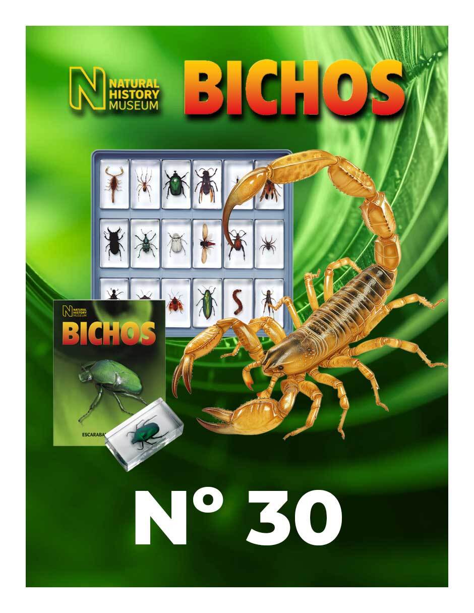 Imagen de producto Coleccionable Bichos 0030