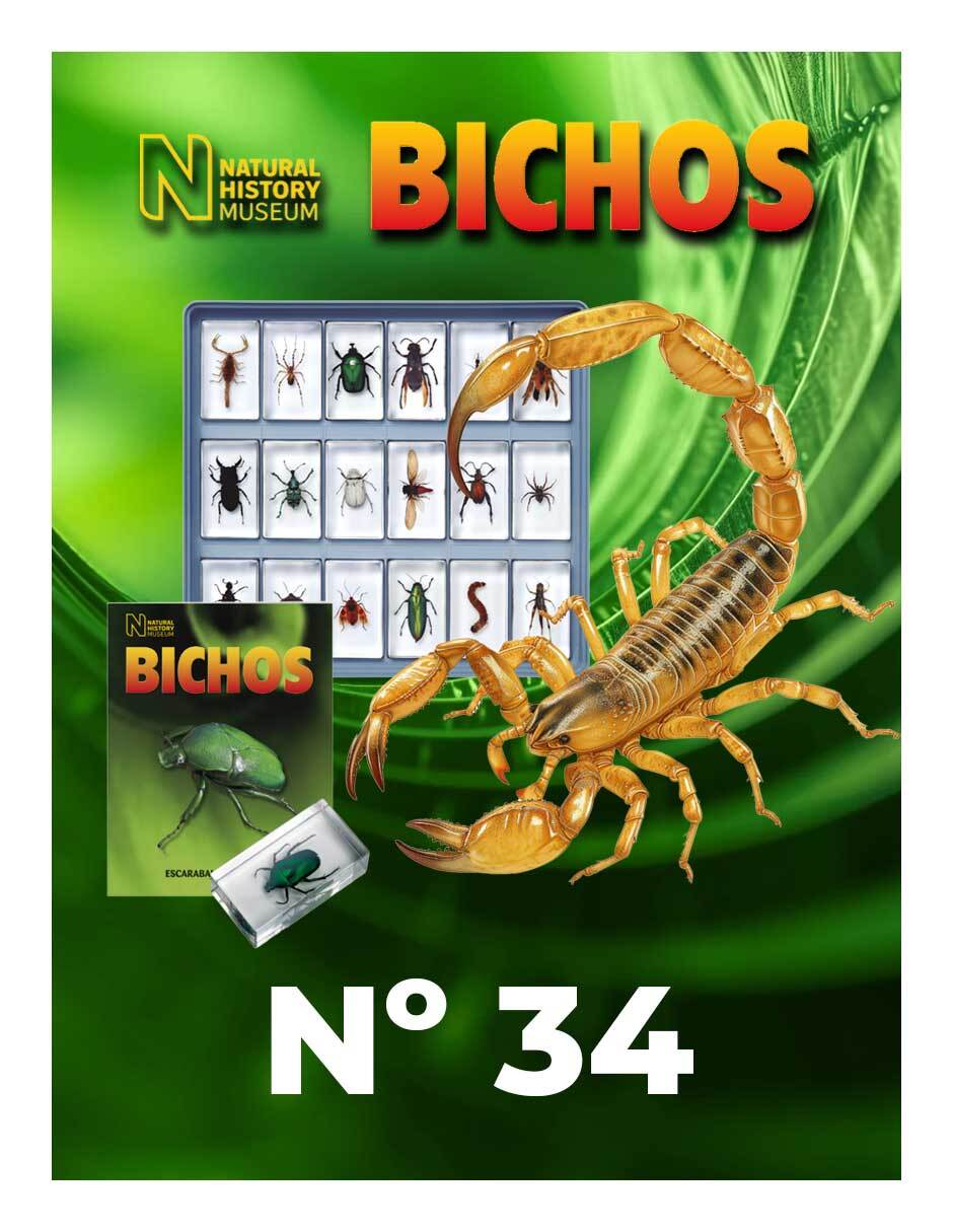 Imagen de producto Coleccionable Bichos No. 34
