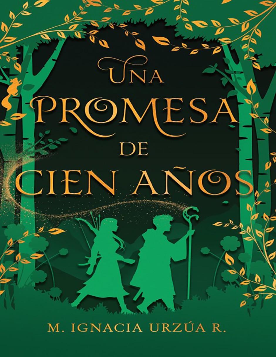 Libro Una promesa de cien años de M. Ignacia Urzúa R