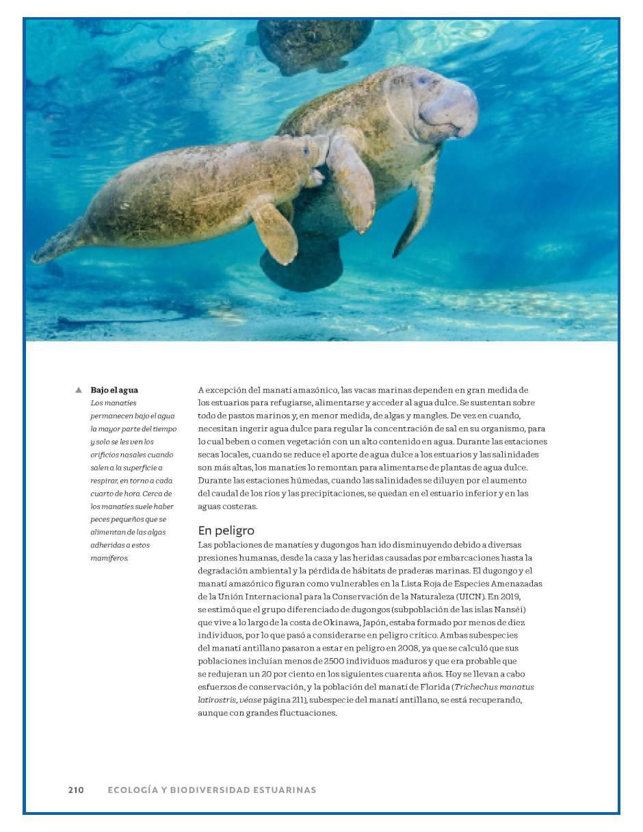 Libro Ríos, Estuarios y Deltas del Mundo y sus Ecosistemas de Jim Best/Stephen Darby et al 5