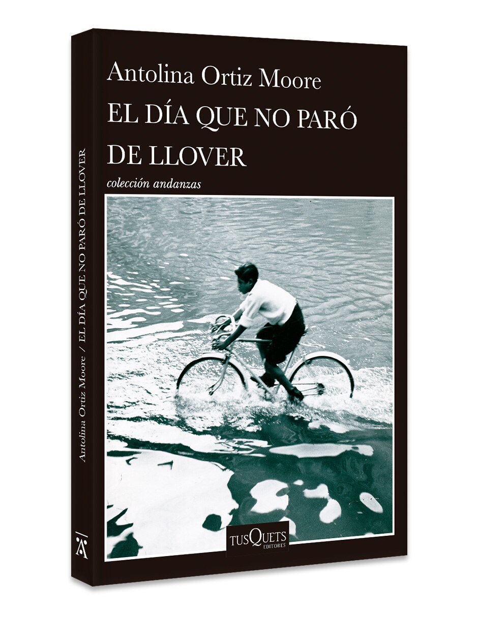Libro El Día Que No Paro De Llover de Antolina Ortiz Moore 3