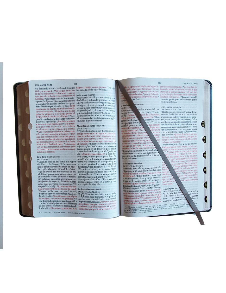 Libro Biblia RVR 1960 letra grande Origen