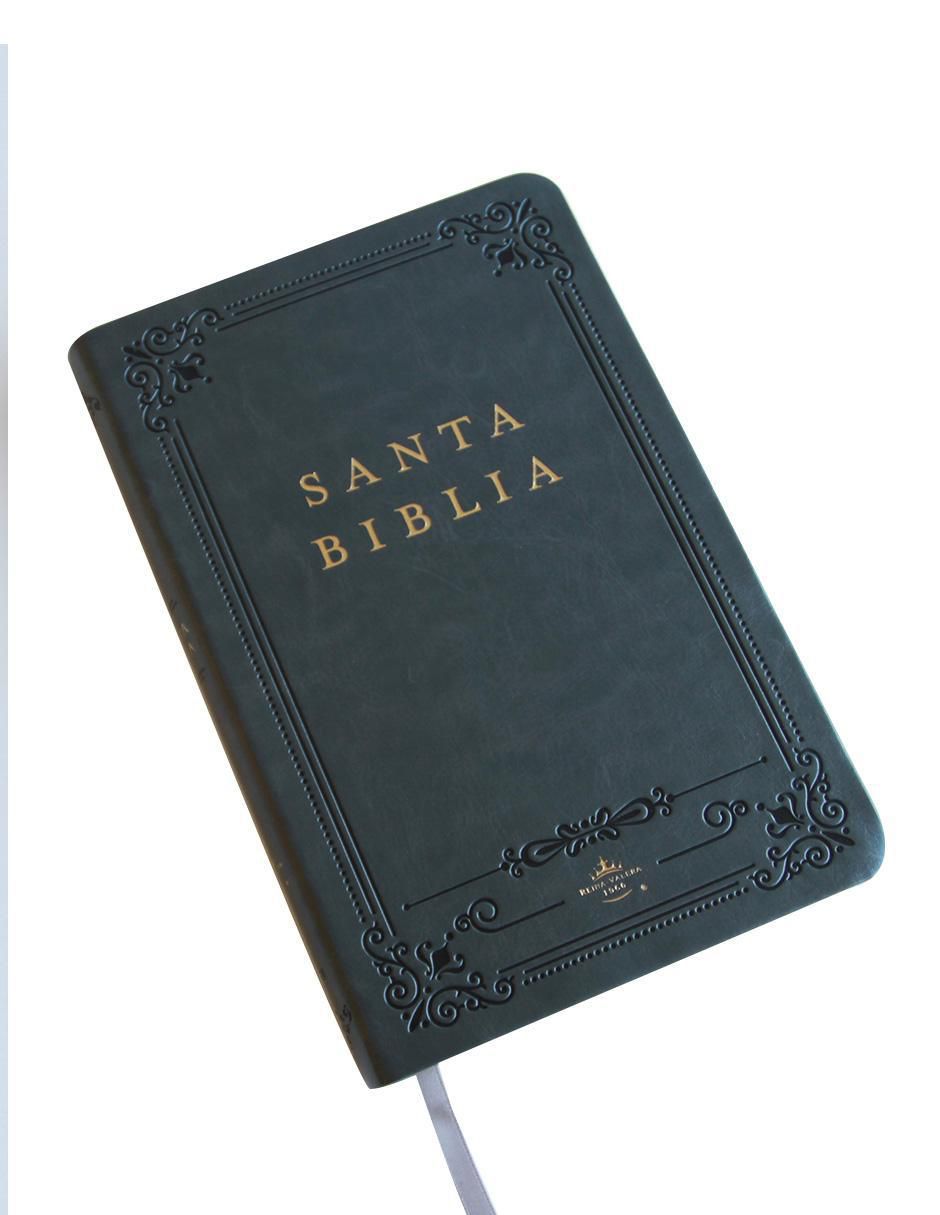 Libro Biblia RVR 1960 letra grande Origen